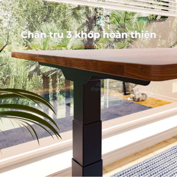 Bàn nâng hạ thông minh Ergonomic ED223DL (Chân L)