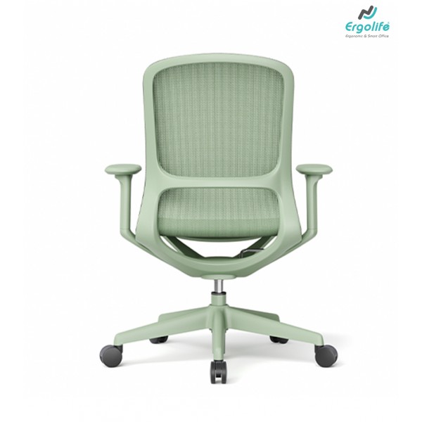 Ghế Công Thái Học CH-589