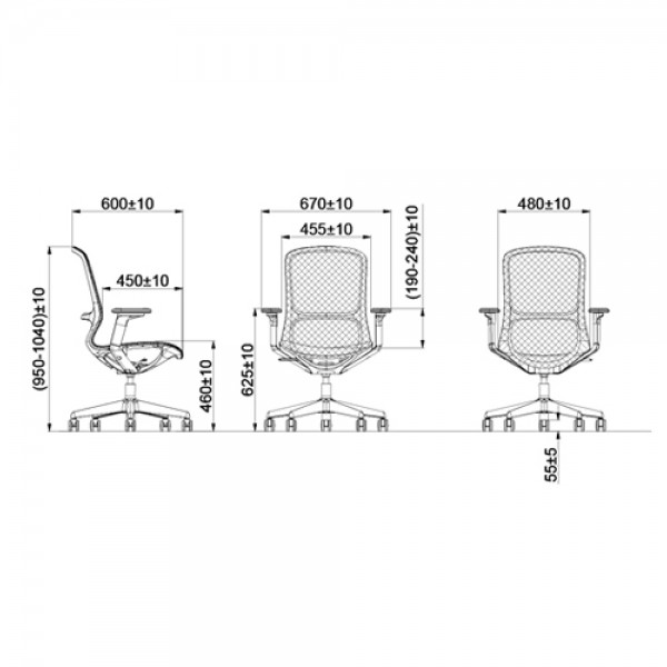 Ghế Công Thái Học CH-589
