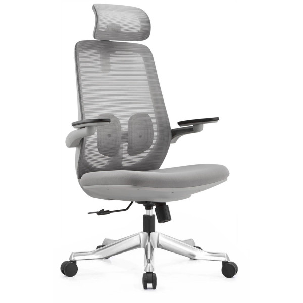 Ghế Công Thái Học A2