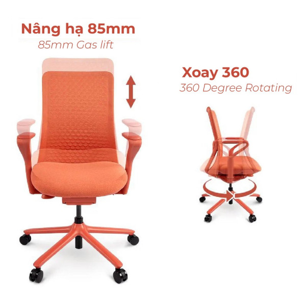 Ghế Công Thái Học Cao Cấp Goodtone Poly
