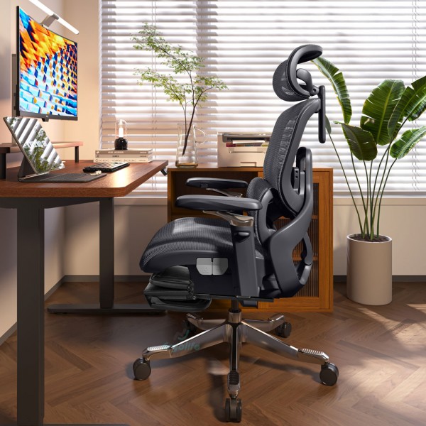 Ghế Công Thái Học Cao Cấp RC-1171E
