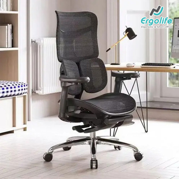 Ghế Công Thái Học Cao Cấp Doro S100