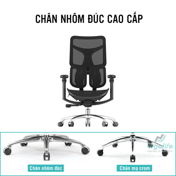 Ghế Công Thái Học Cao Cấp Doro S100