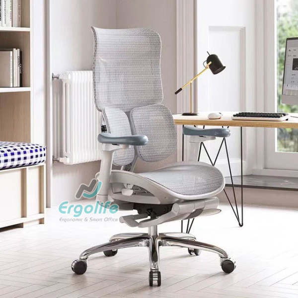 Ghế Công Thái Học Cao Cấp Doro S100
