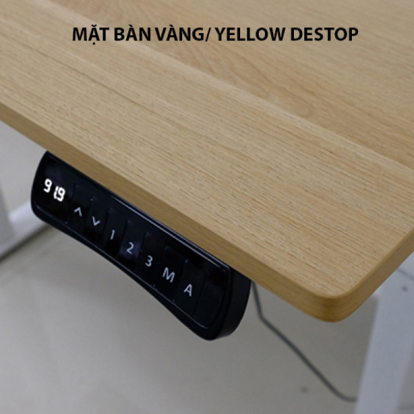 Bàn nâng hạ thông minh Ergonomic ED225E